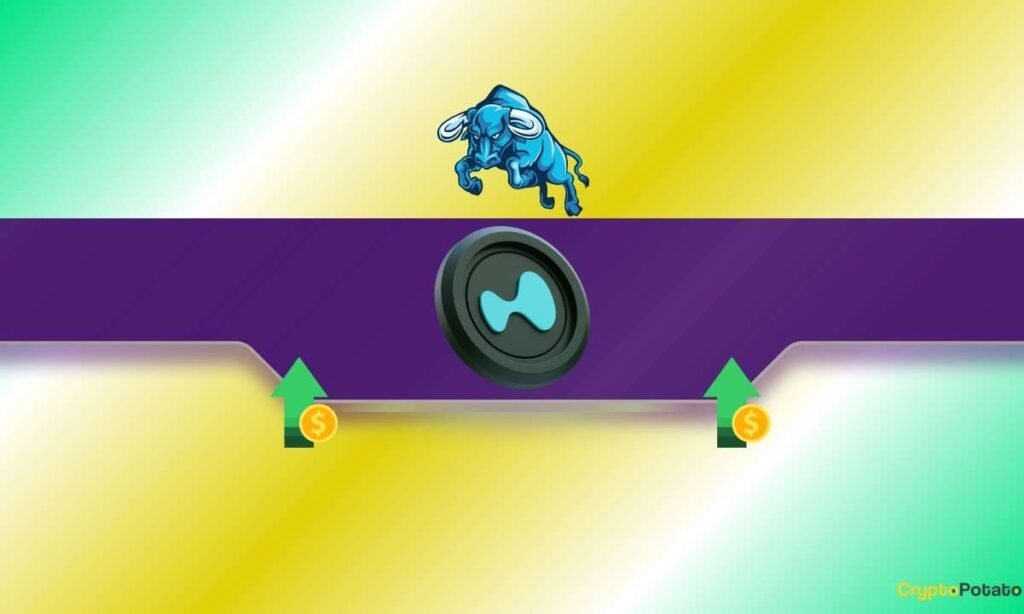 HYPE Rallies 36% in a Week, But Momentum Nears a Crossroad