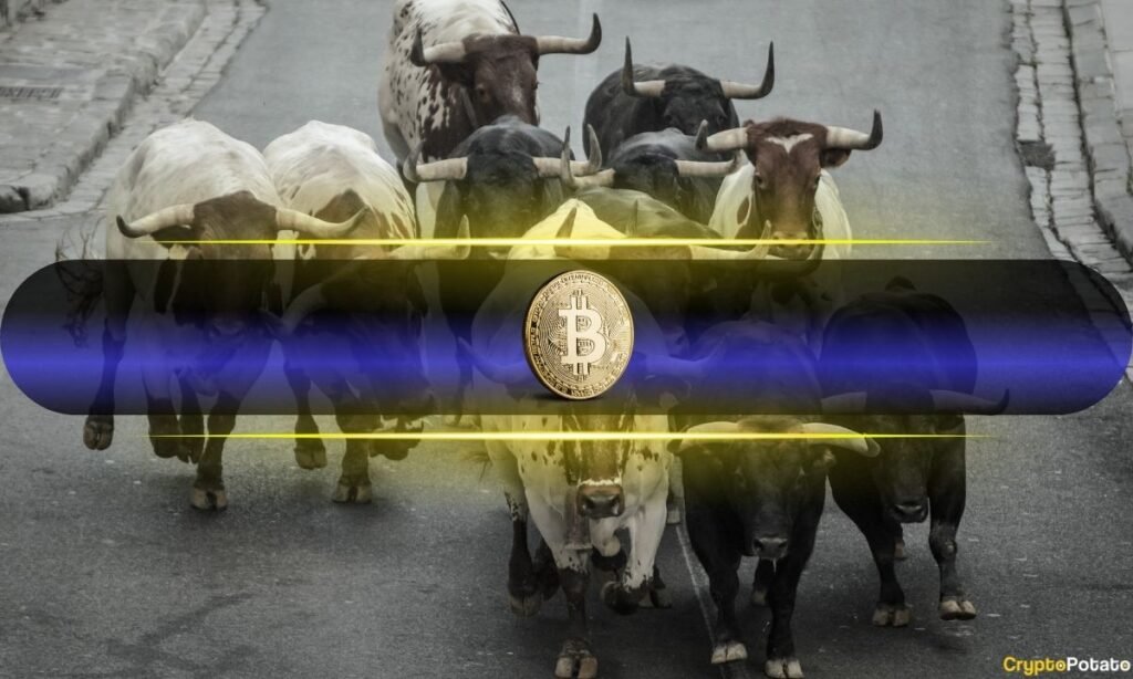 Crypto Sentiment Flips Bullish as XWIN Trend Index Climbs to 72