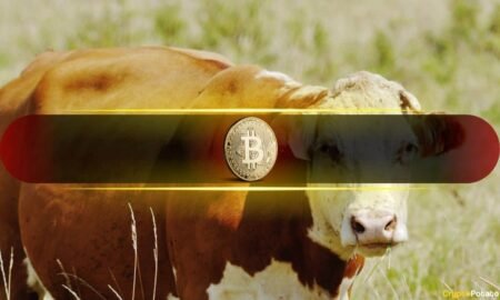 Rising Liquidity Pushes Bitcoin Into Bullish Consolidation Rising Liquidity Pushes Bitcoin Into Bullish Consolidation