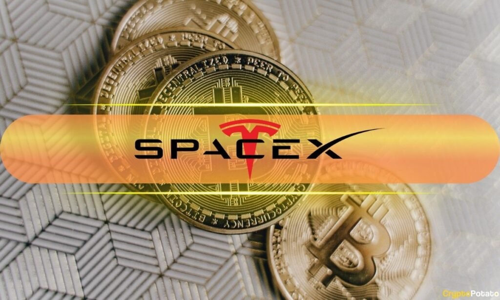 SpaceX and BlackRock Move $296M in Bitcoin: Is a Sell-Off on the Horizon? SpaceX, BlackRock Shift $296M in Bitcoin: Sell-Off Signal Ahead?