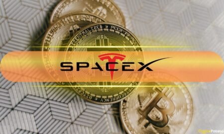 SpaceX and BlackRock Move $296M in Bitcoin: Is a Sell-Off on the Horizon? SpaceX, BlackRock Shift $296M in Bitcoin: Sell-Off Signal Ahead?