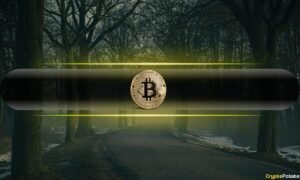 Bitcoin Drops Out of Top 10 Global Assets, Falls to 13th