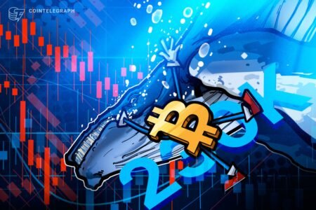 Bitcoin Whales Accumulate 236,000 BTC in Just 90 Days to Replenish Their Reserves Bitcoin Whales Rebuild Reserves With 236K BTC in 90-days