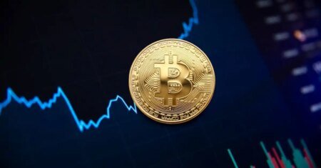 Metaplanet CEO Rejects Claims of Concealing Information Bitcoin