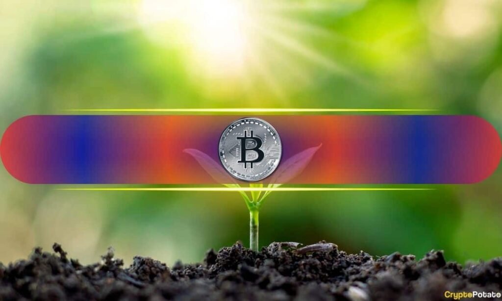 5 Essential On-Chain Indicators to Monitor While Bitcoin is at Fair Value 5 Key On-Chain Signals to Watch With Bitcoin at Fair Value