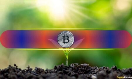 5 Key On-Chain Signals to Watch With Bitcoin at Fair Value