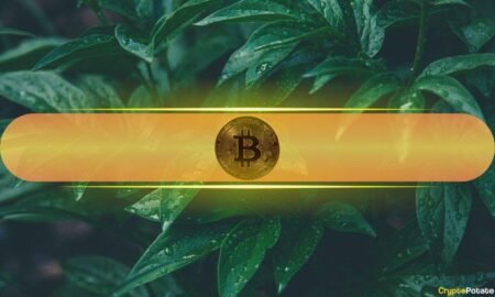 Analysts Eye 'Insane Reversal' in Markets as Bitcoin Touched $70K