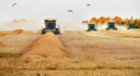 2 Solid Stocks to Consider for Your $7,000 TFSA Contribution in 2026 2 Strong Stocks Worth Putting Your $7,000 TFSA Contribution Into in 2026