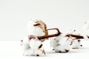 Cotton Rally Extends to Monday
