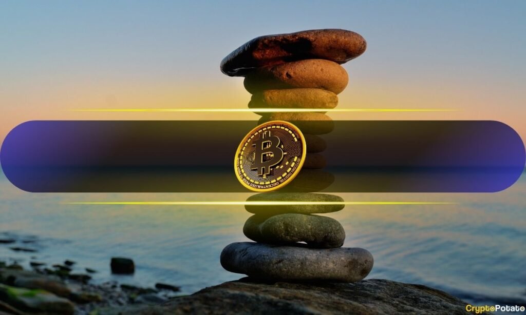 Analyst Calls it a Buy Setup