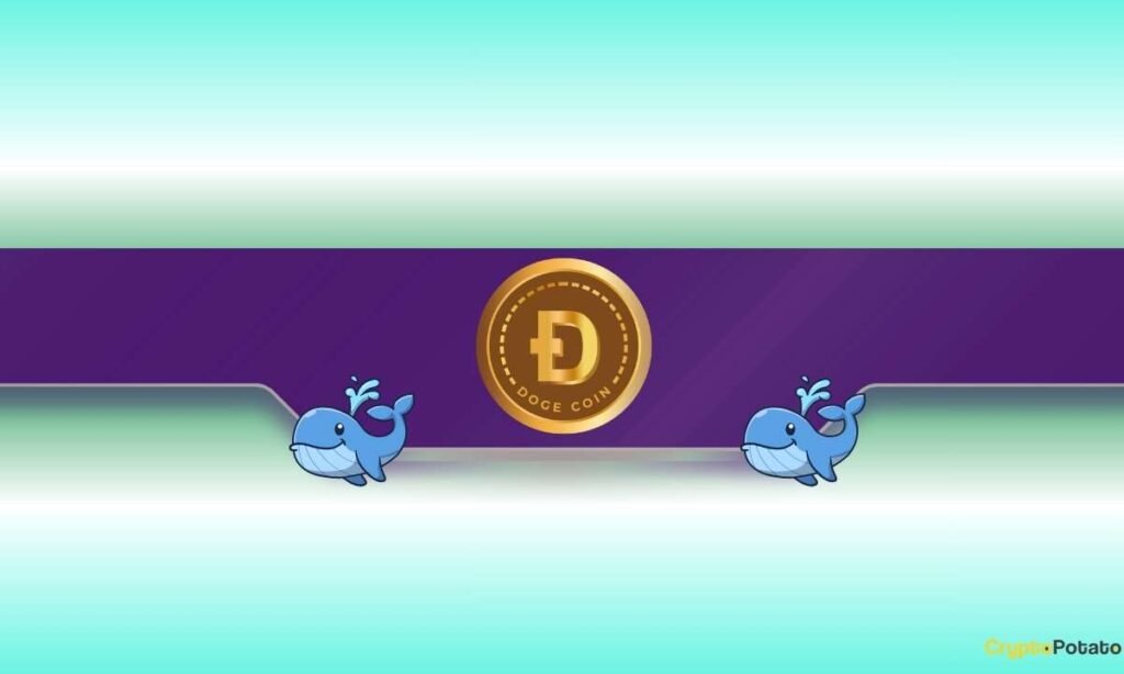 rewrite this title in other words: DOGE Price Dumps to Monthly Lows but Dogecoin Whales Load Up DOGE Price Dumps to Monthly Lows but Dogecoin Whales Load Up