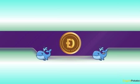 DOGE Price Dumps to Monthly Lows but Dogecoin Whales Load Up