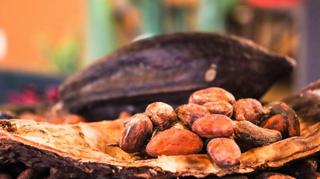 Cocoa Prices Rally Going into the Weekend