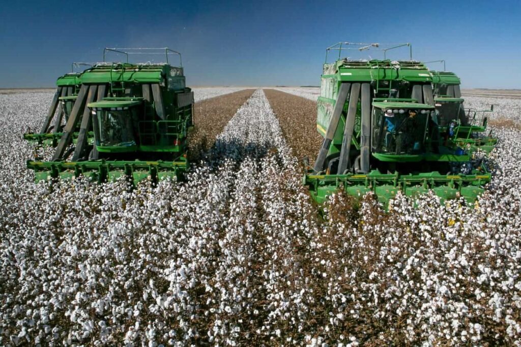 Cotton Ignores Outside Markets to Close with Monday Strength