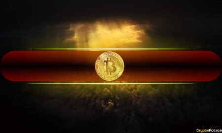 The Bitcoin Treasury Shakeout Has Begun: Which Companies Are Selling and Who's Next?