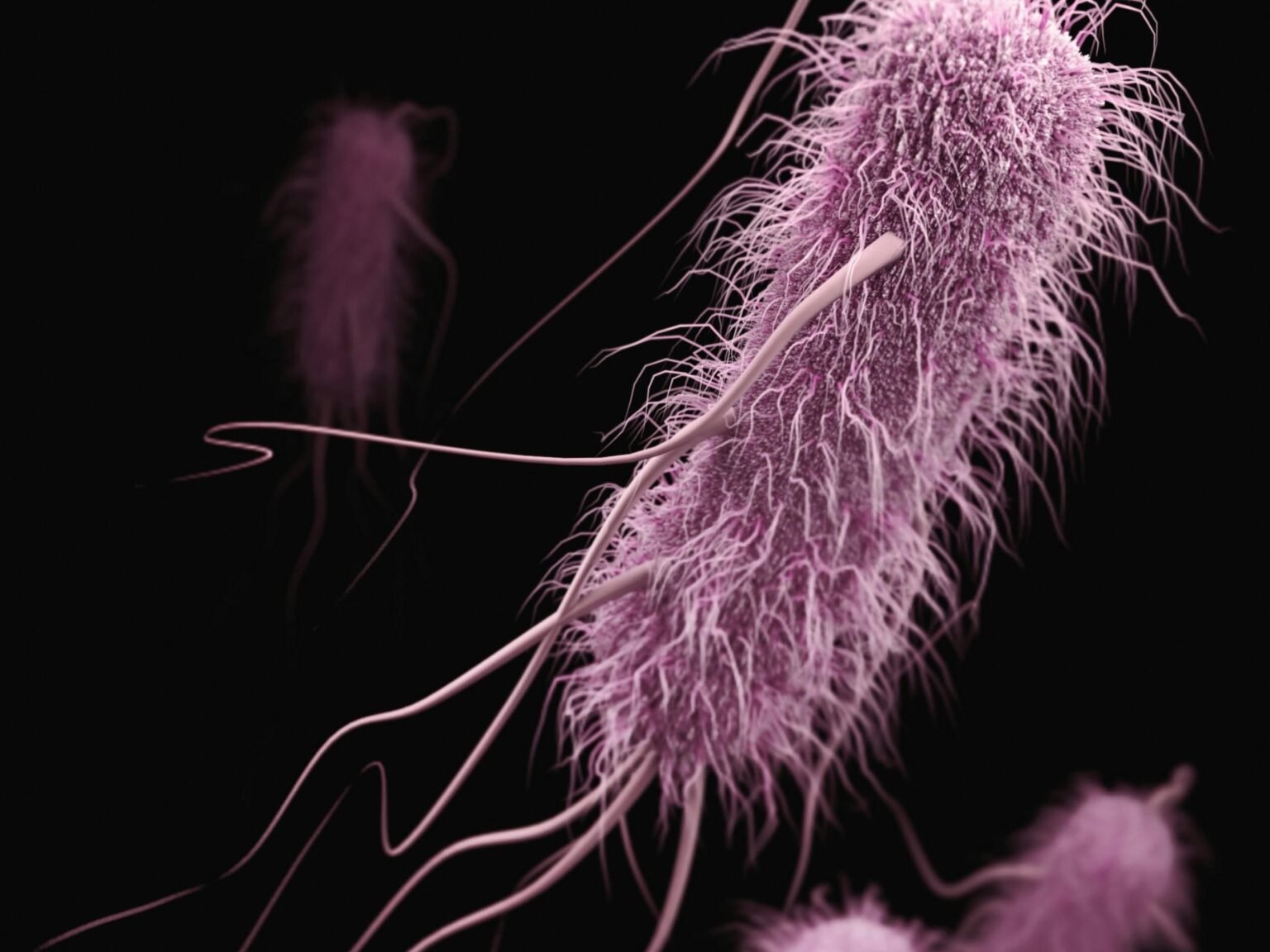 Stanford Evo 2 AI model generates phages against E. coli Stanford Evo 2 AI model generates phages against E. coli