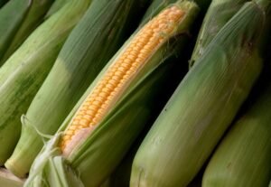 rewrite this title in other words: Corn Closes July with Weakness Corn Closes July with Weakness