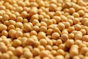 rewrite this title in other words: Soybeans Close with Gains on Monday, as Ratings Slip Soybeans Close with Gains on Monday, as Ratings Slip