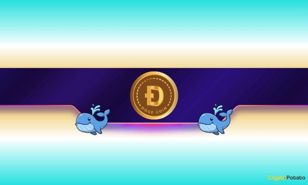 240,000,000 DOGE in a Week: Where Is Dogecoin Headed Next?