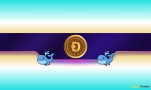 240,000,000 DOGE in a Week: Where Is Dogecoin Headed Next?