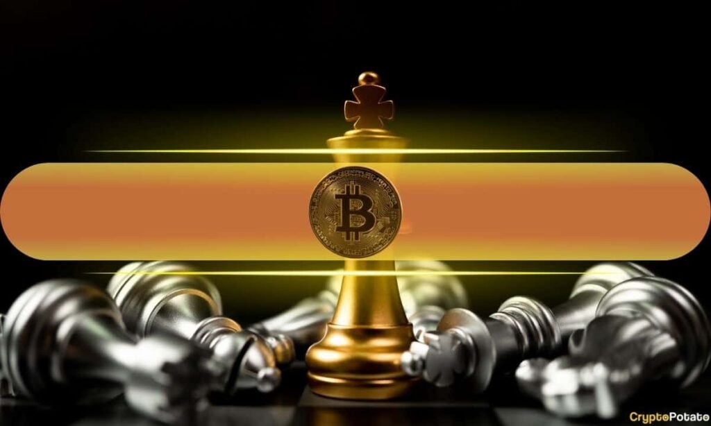 Just 9 of the Top 50 Altcoins Have Outperformed Bitcoin Since Its High: Choosing the Successes Is Tough Only 9 of the Top 50 Altcoins Have Beaten Bitcoin Since Its Peak: Picking the Winners Is Brutal