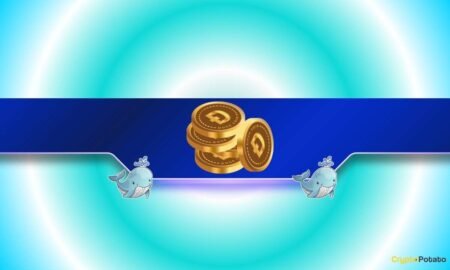 Potential DOGE Surge? Whales Accumulate as Dogecoin ETFs Experience Historic Inflows DOGE Rally Brewing? Whales Load Up as Dogecoin ETFs Post Record Inflows