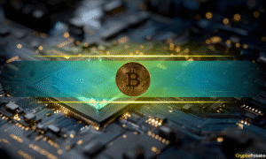 Bitcoin Could Jump 50% If Developers Agree on Quantum Plan: Capriole CEO